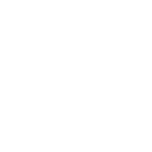 Youtube icon